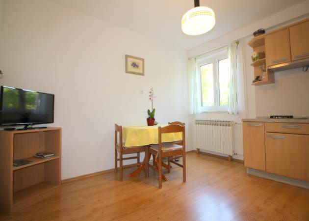 Apartment Radojka A2D